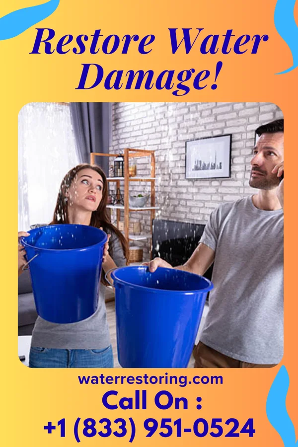water restoration Reliable Water Cleanup Professionals Inwood